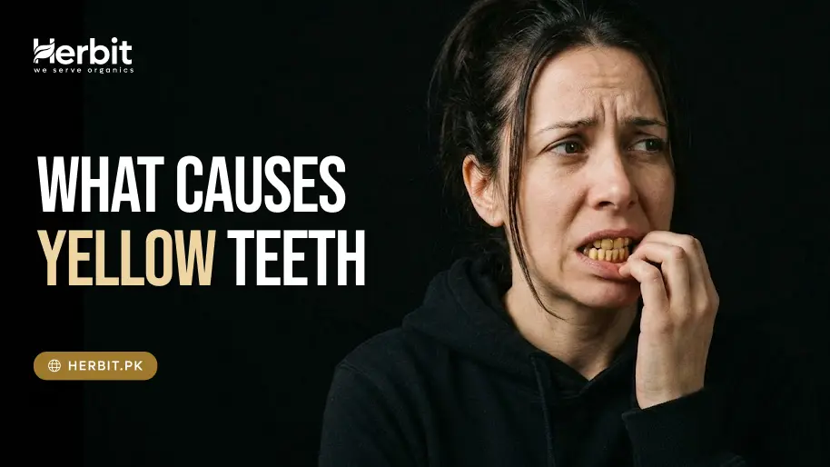 What Causes Yellow Teeth (and How to Prevent It)